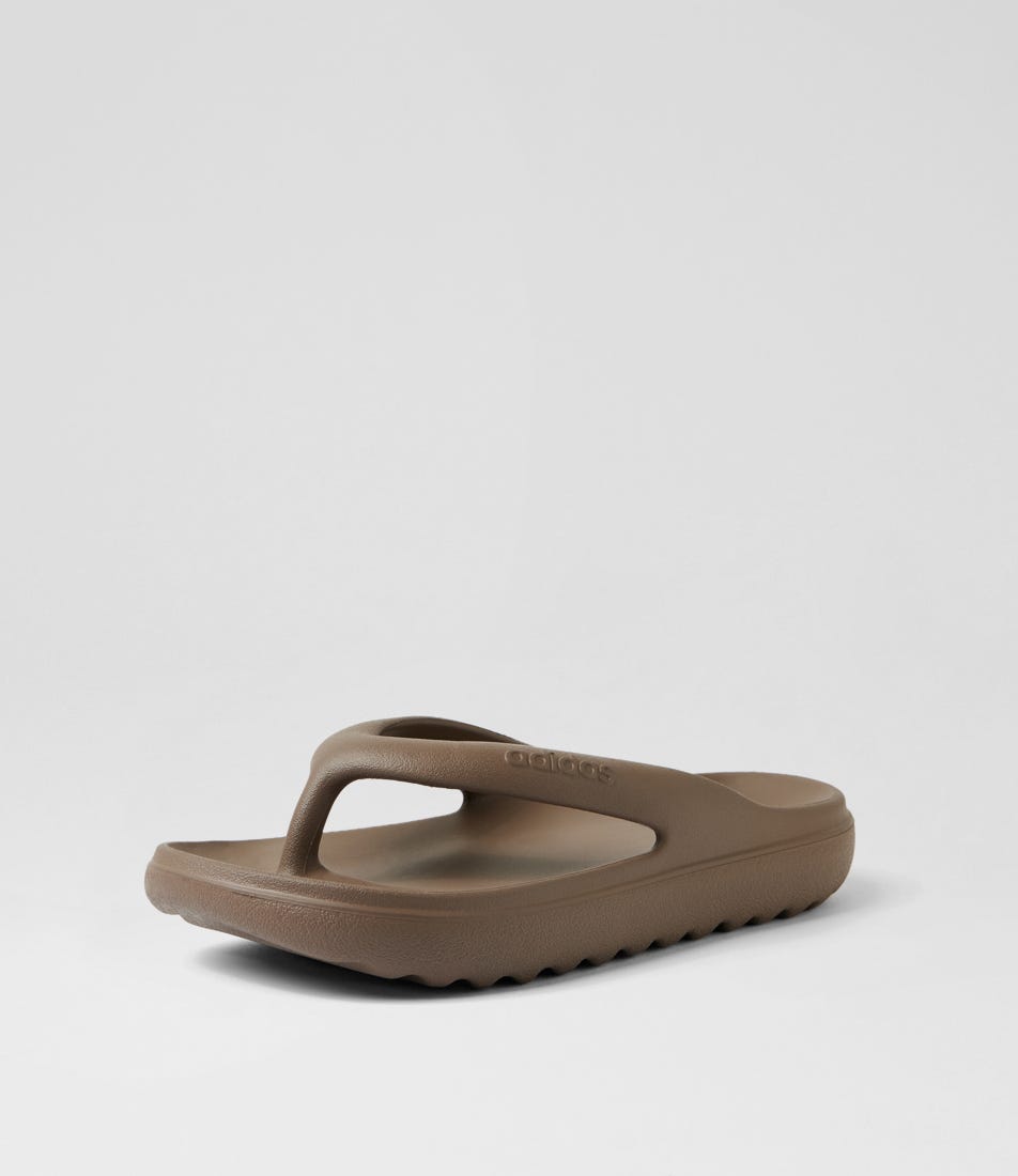 carousel