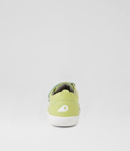 KP GRASS COURT BQ SHADOW LIME LEATHER
