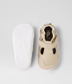 XP SCOUT BQ WOODASH LEATHER