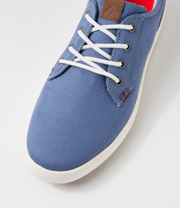 NEXUS CF SEA BLUE CANVAS