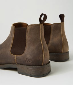 LIZARD CF TAUPE OIL SUEDE