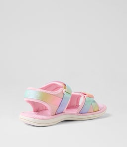 202790 FERN TOT CK RAINBOW MULTI SMOOTH