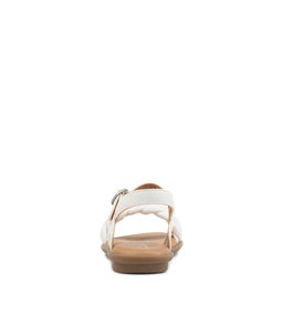 203041 HARMONY JNR CK WHITE SMOOTH