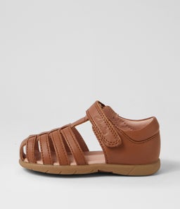 202195 SHELLY TOT CK TAN LEATHER