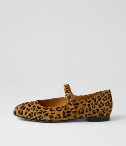 CURIOUS DF LEOPARD PONY