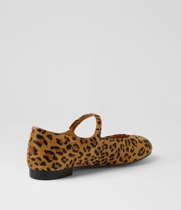 CURIOUS DF LEOPARD PONY