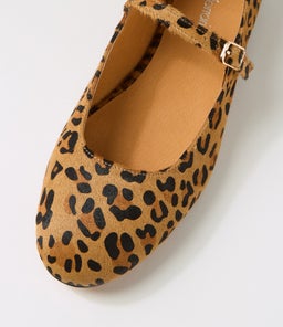 CURIOUS DF LEOPARD PONY