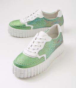 BOSTONY DJ GREEN RAINBOW MULTI