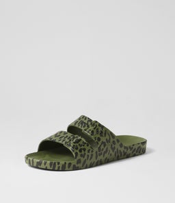SLIDES W FM LEO CACTUS SMOOTH