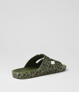 SLIDES W FM LEO CACTUS SMOOTH