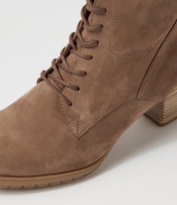 PETUNIA GA MUSKAT SUEDE