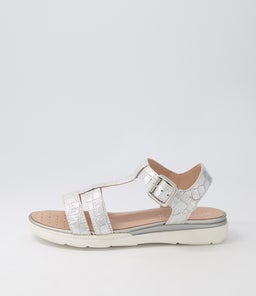 D S.HIVER B GE SILVER CROC LEATHER