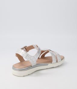 D S.HIVER B GE SILVER CROC LEATHER
