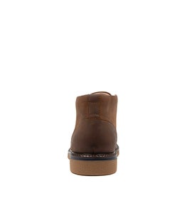 MICHIGAN HP BROWN LEATHER