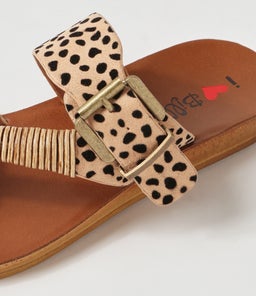 KITOX2 IL CHEETAH MICROSUEDE