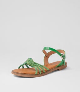 AIMIE IL GREEN MULTI