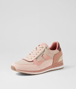 TOTTISH IL ROSE MULTI