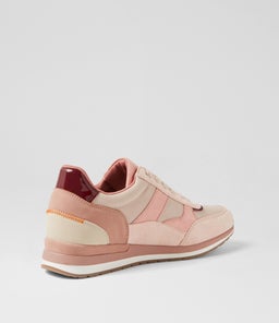 TOTTISH IL ROSE MULTI