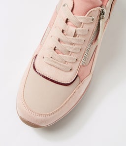 TOTTISH IL ROSE MULTI