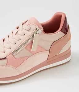 TOTTISH IL ROSE MULTI
