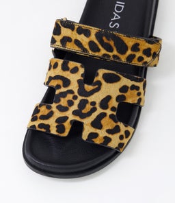 HOLNES MI LEOPARD PONY