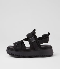 DALLAY MI BLACK MULTI