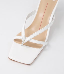 DENE MO WHITE CROC