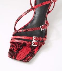 TANDOM MO RED SNAKE