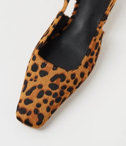 YAELS MO LEOPARD PONY