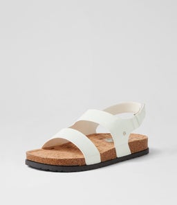 IDLY NM WHITE SMOOTH