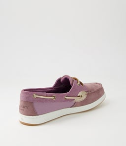 COASTFISH 2 EYE W E SP BERRY NUBUCK