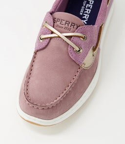 COASTFISH 2 EYE W E SP BERRY NUBUCK