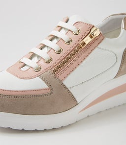 RUCCOIS SU TAUPE WHITE MULTI