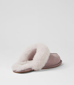 SCUFFETTE II UU SUGARPLUM SUEDE