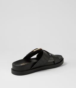 OSCAR VE BLACK CROC