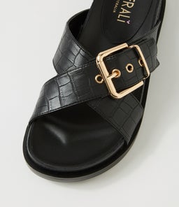 OSCAR VE BLACK CROC