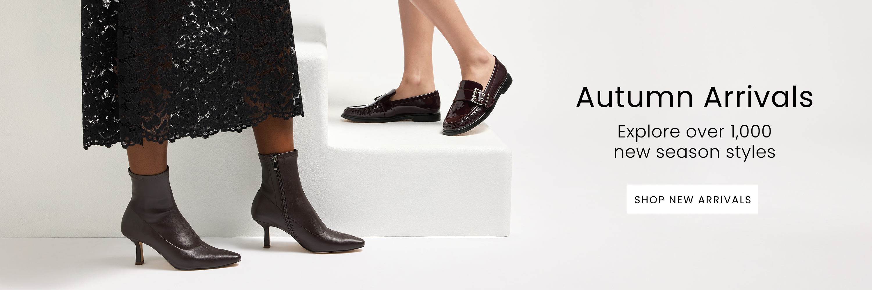 new arrivals